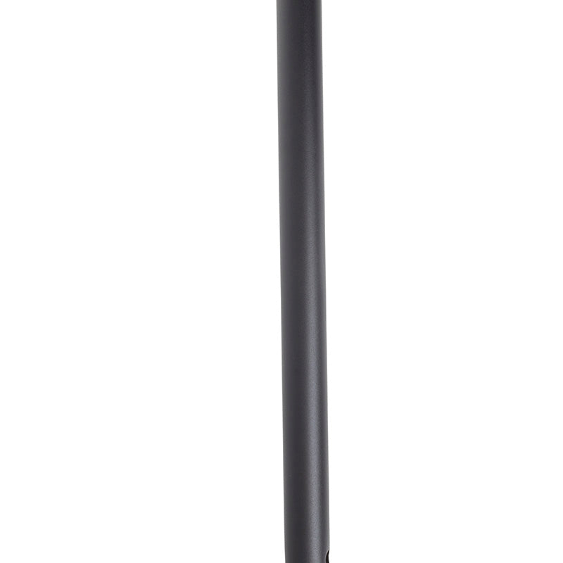 black walking stick