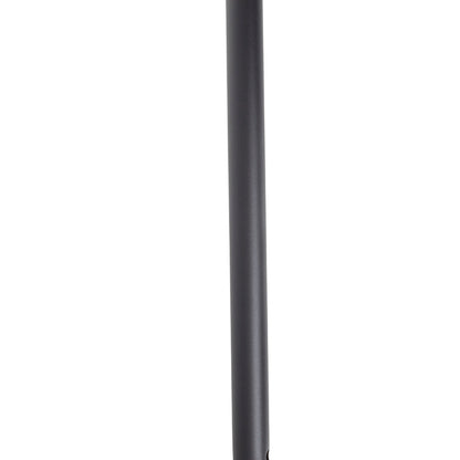 black walking stick 